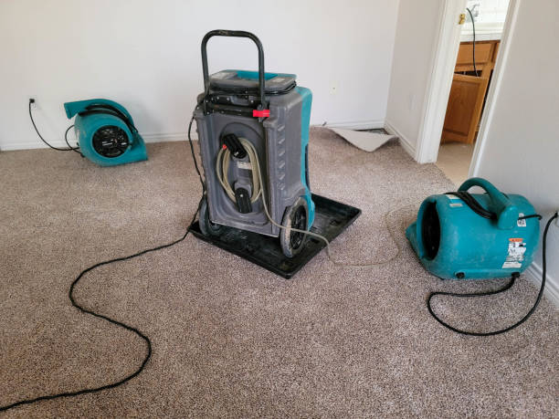 Best Water damage restoration near me  in Stevensville, MT