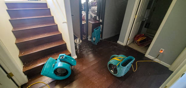 Best Fire Damage Restoration  in Stevensville, MT