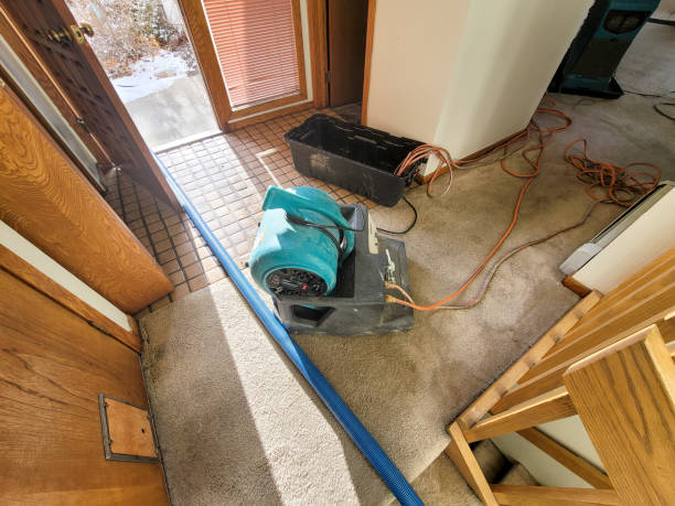 Best Local water damage restoration  in Stevensville, MT