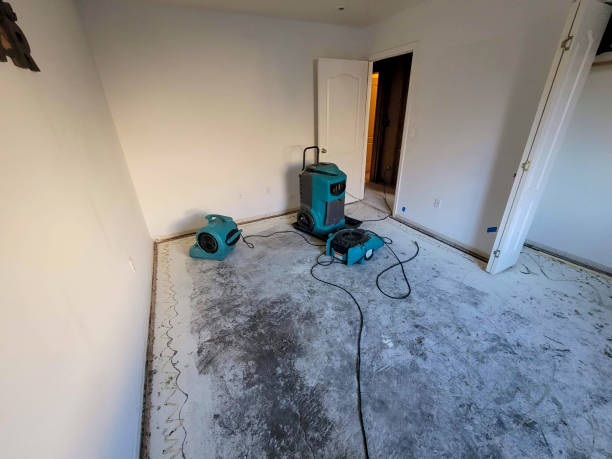 Sewage cleanup and water damage restoration in Stevensville, MT