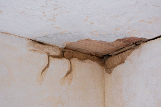 Best Sewage cleanup and water damage restoration  in Stevensville, MT
