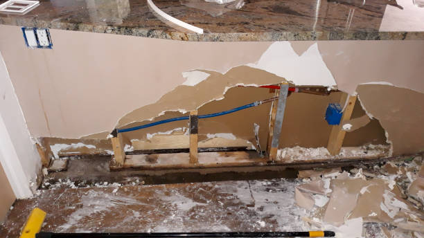 Best Professional water damage repair  in Stevensville, MT