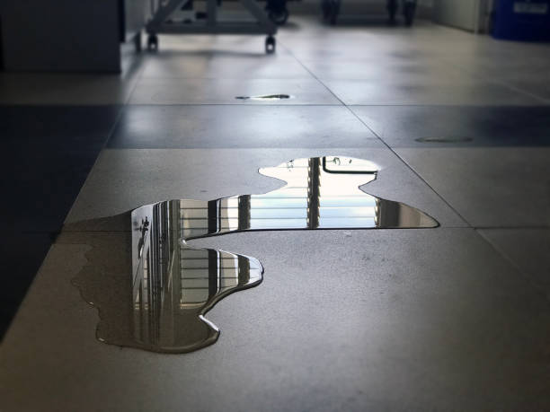 Best 24/7 water damage repair  in Stevensville, MT
