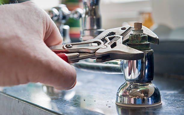 Best Water damage cleanup near me  in Stevensville, MT