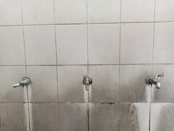 Best Mold removal after water damage  in Stevensville, MT