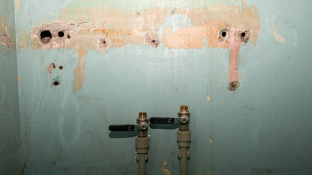  Stevensville, MT Water damage restoration Pros