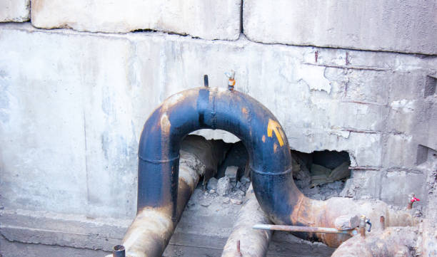 Best Basement water damage restoration  in Stevensville, MT