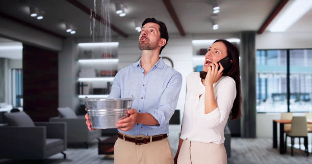 Best Carpet water damage restoration  in Stevensville, MT