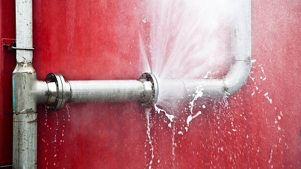 Best Flood damage cleanup  in Stevensville, MT