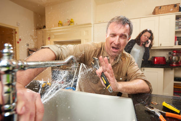 Best Flood restoration services  in Stevensville, MT